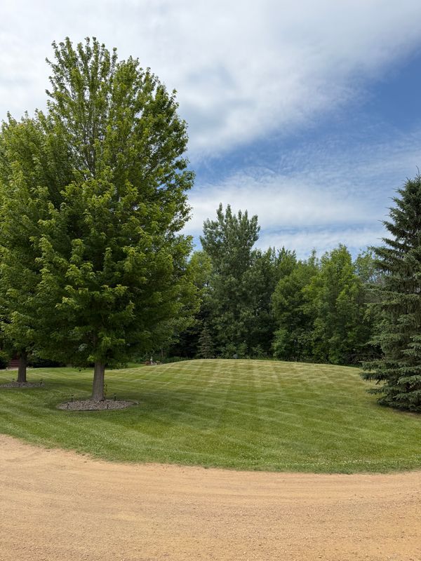 Lawn Maintenance