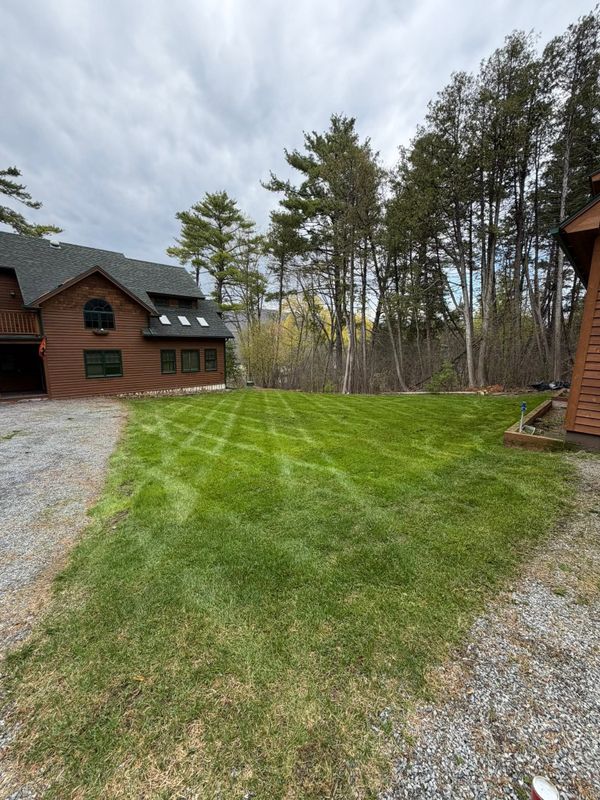 Lawn Maintenance