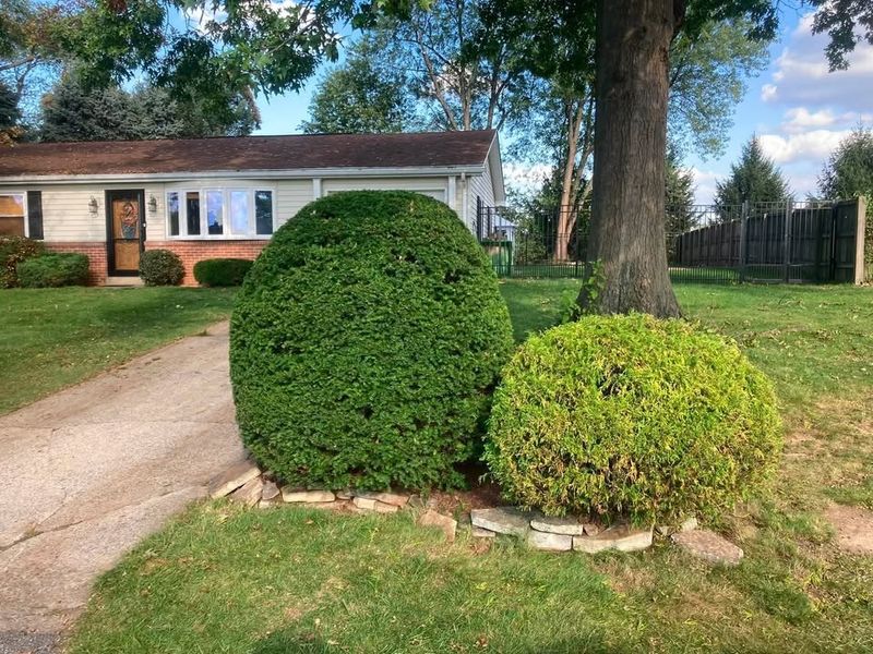 Tree & Shrub Care