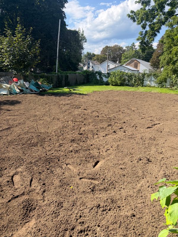 Land Clearing