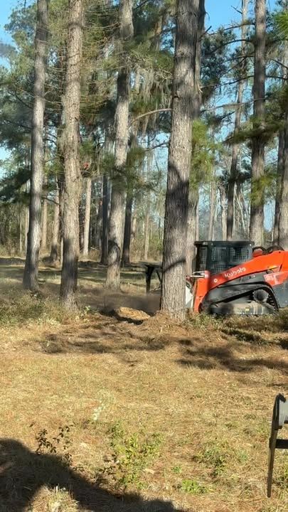 Forestry Mulching