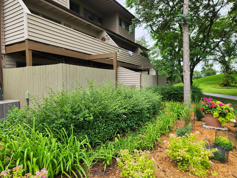 Hedge trimming 