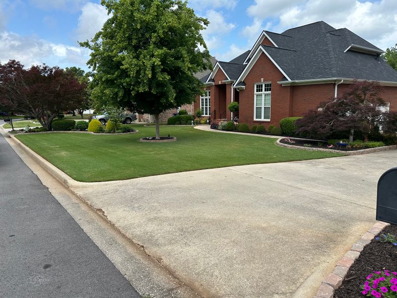 Lawn Maintenance