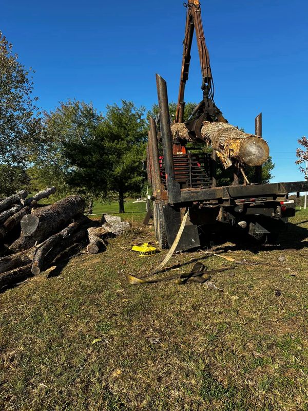 Logging