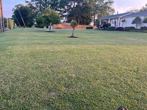 Lawn Maintenance