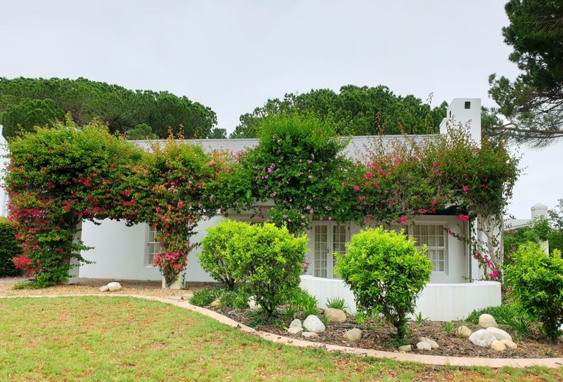 Tree & Shrub Care
