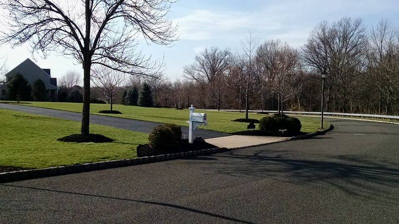 New landscapes. Plantings and mulch