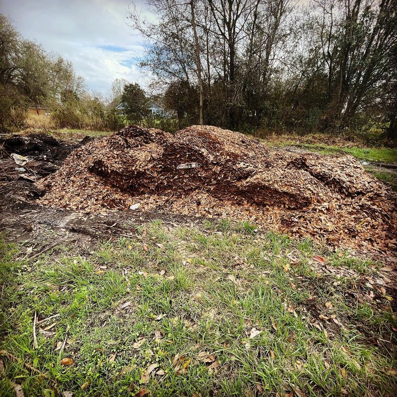 Fall Clean Up