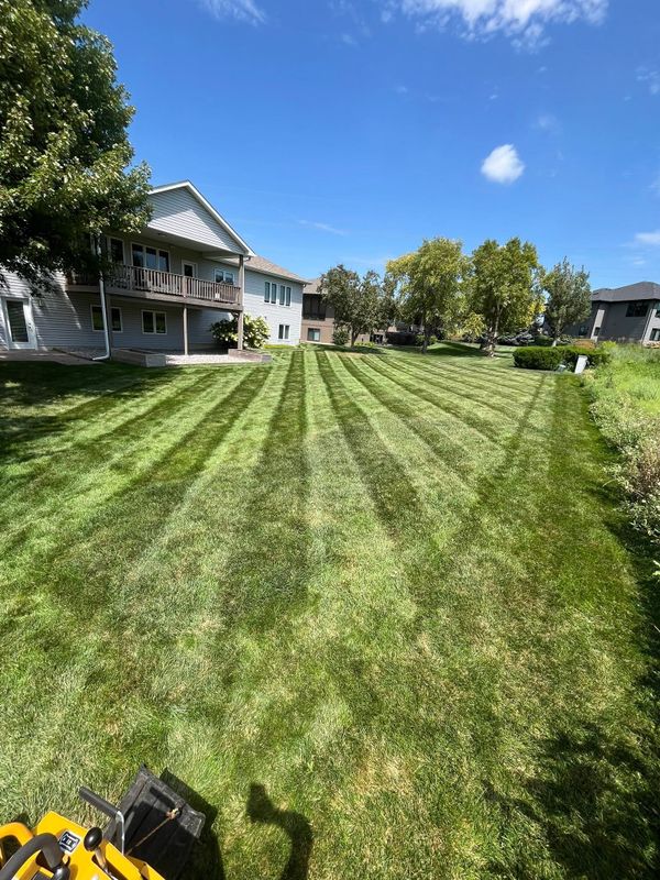 Lawn Maintenance