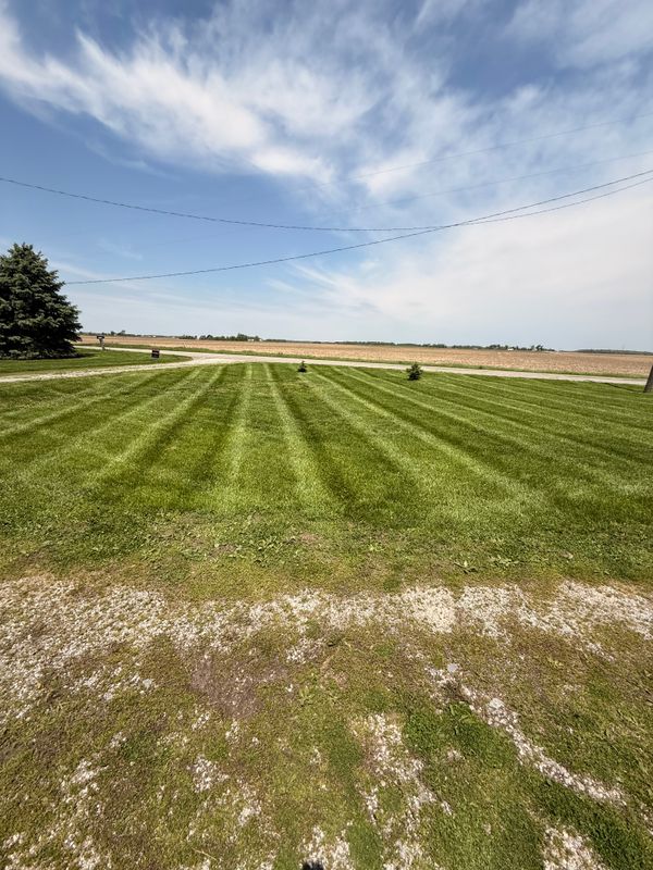 Lawn Care and Maintenance