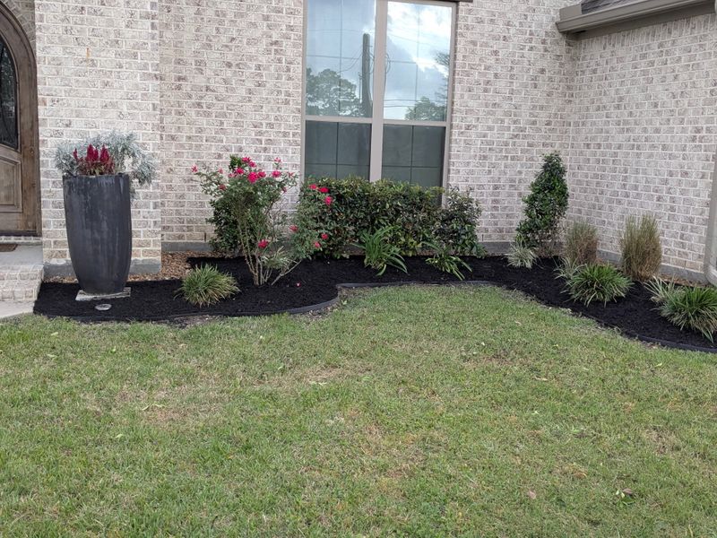 Lawn Maintenance