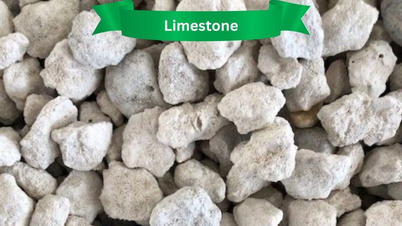 Rocks