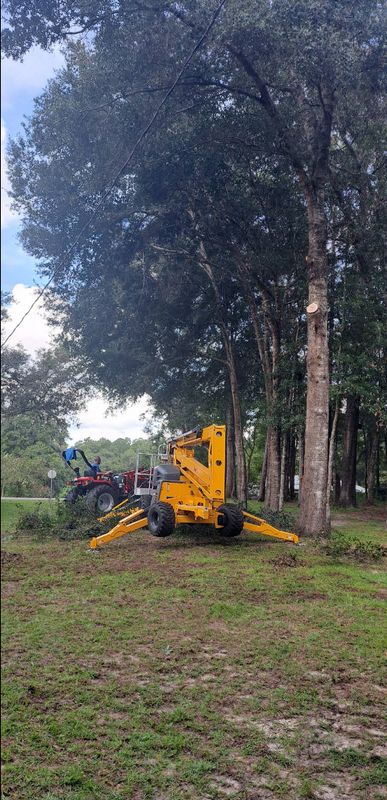 Tree Removal