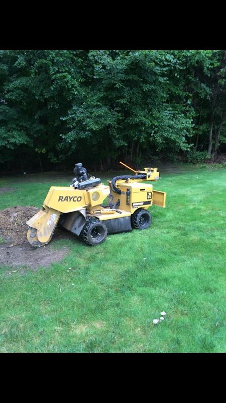 Stump Removal