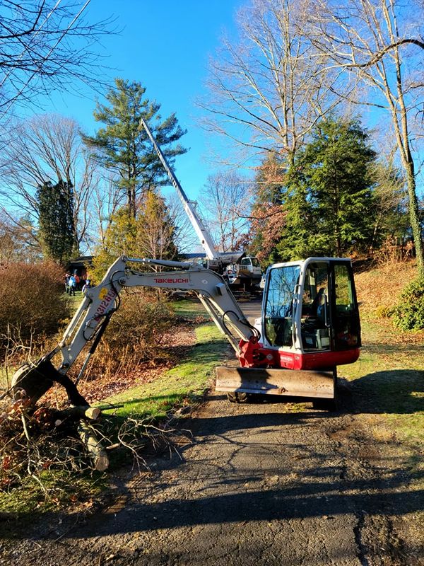 Tree Services
