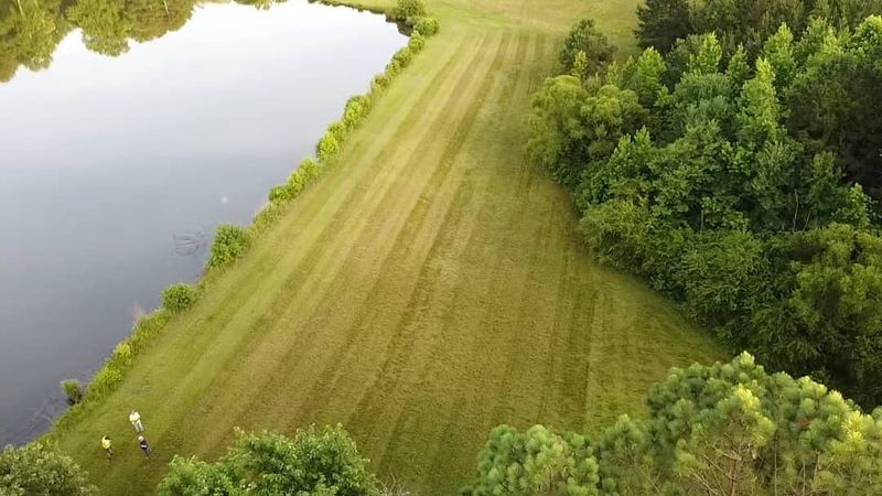 Pond Maintenance and Management