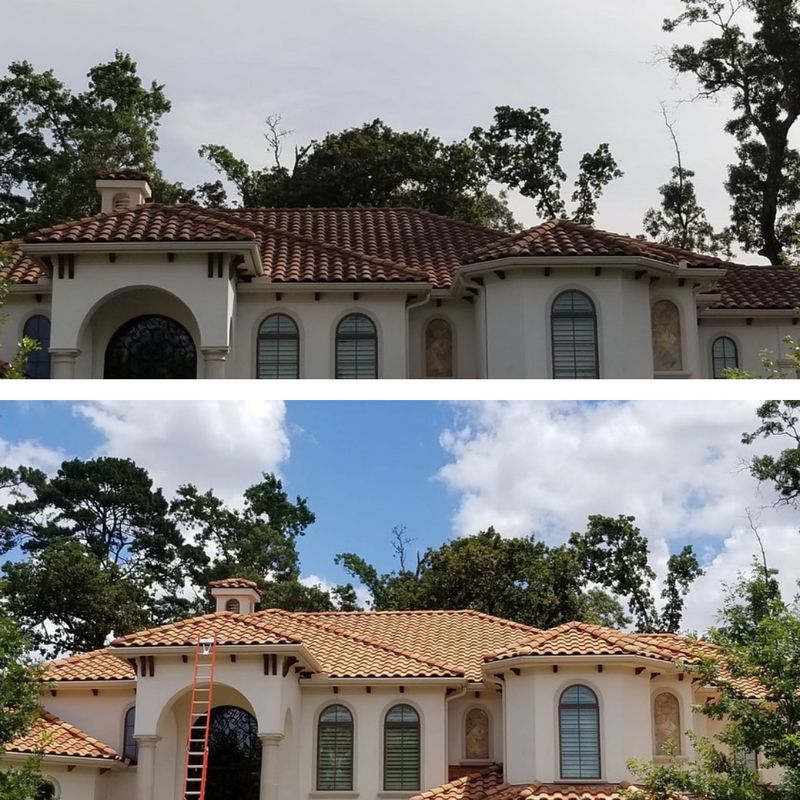 Roof Washing