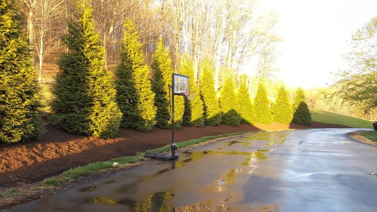 Landscaping