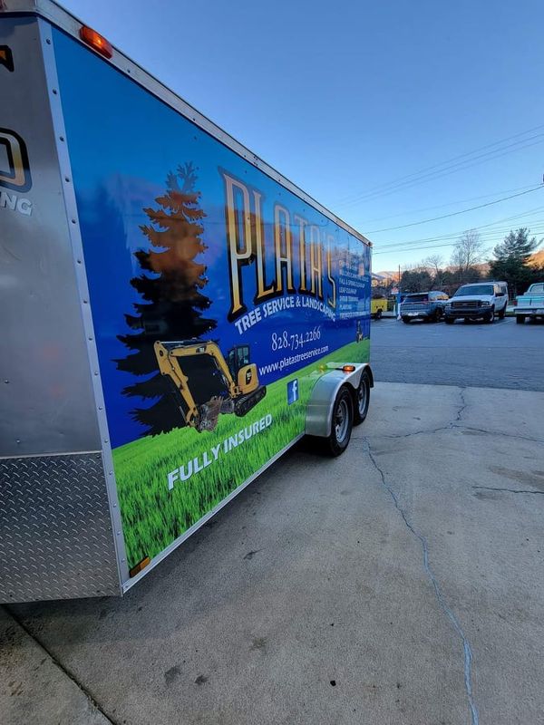 Tree Services