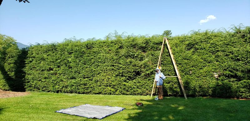 Lawn Care