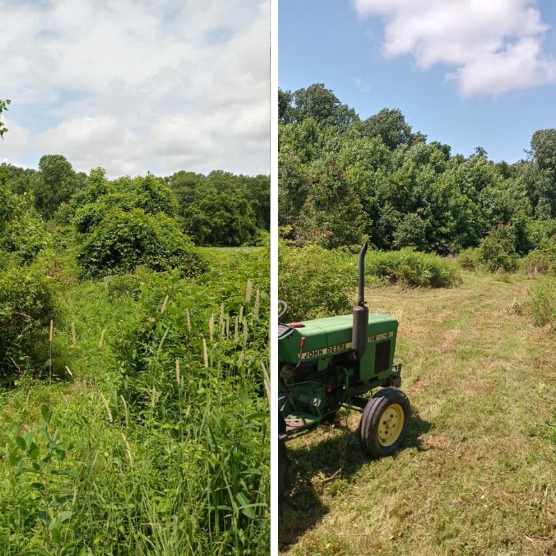 Turf management