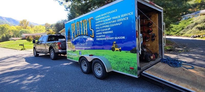 Tree Services