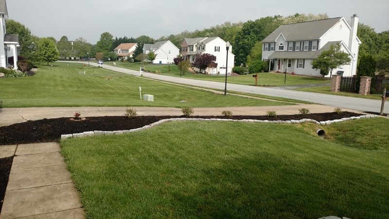 Lawn Care