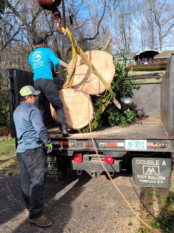 Tree Services
