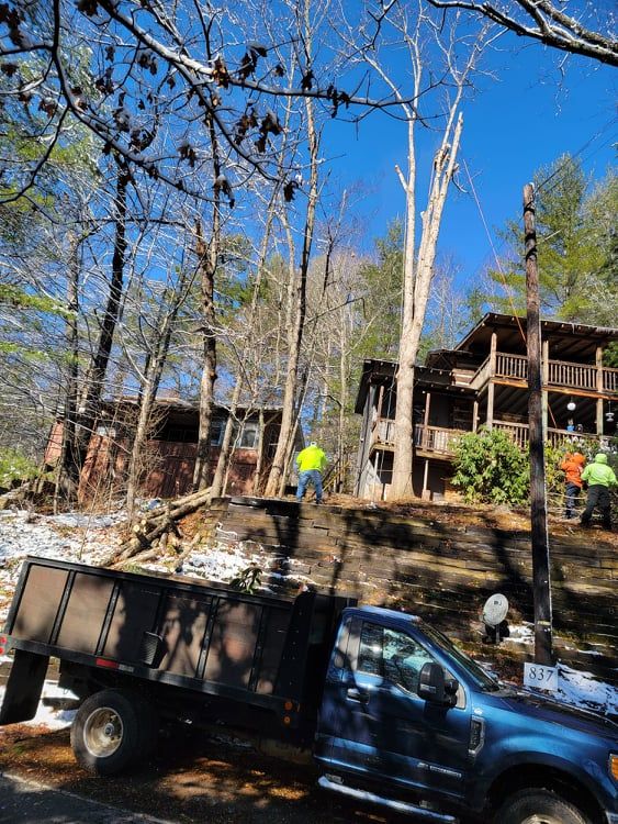 Tree Services