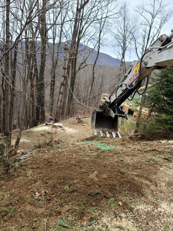 Tree Services