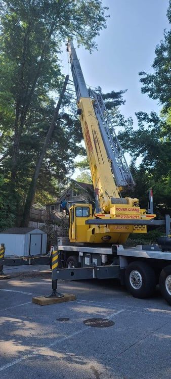 Tree Services