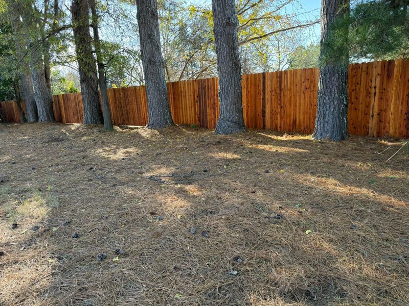 Fence Installation