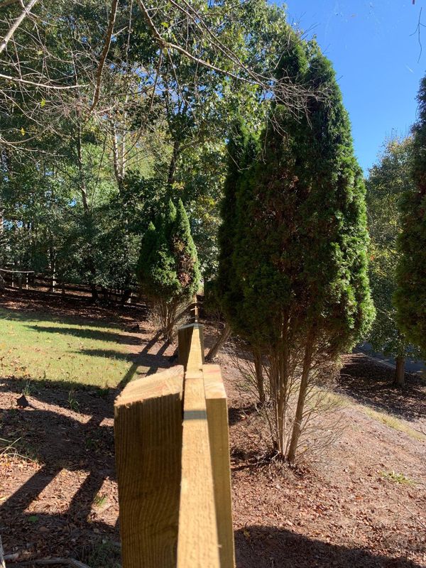 Wooden Fencing