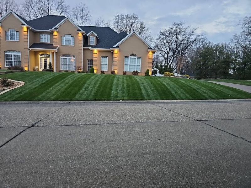 Lawn Maintenance Service