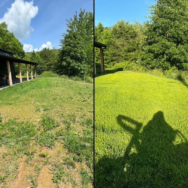 Before & After