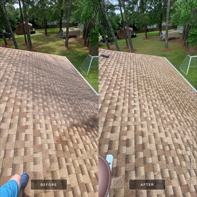 Roof Cleaning