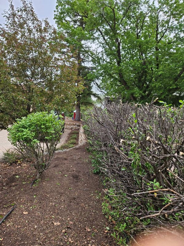 Garden Designs