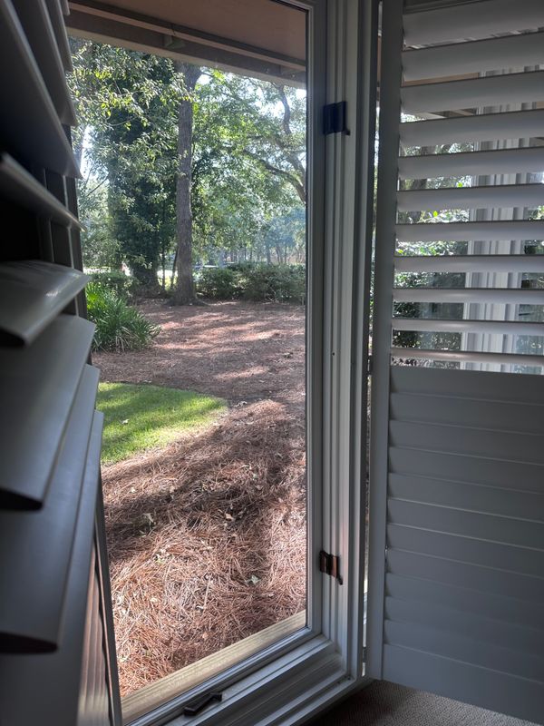 Window Cleaning gallery