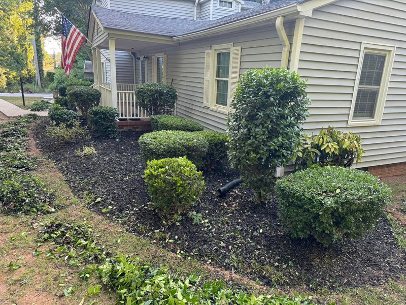 Mulch Installation