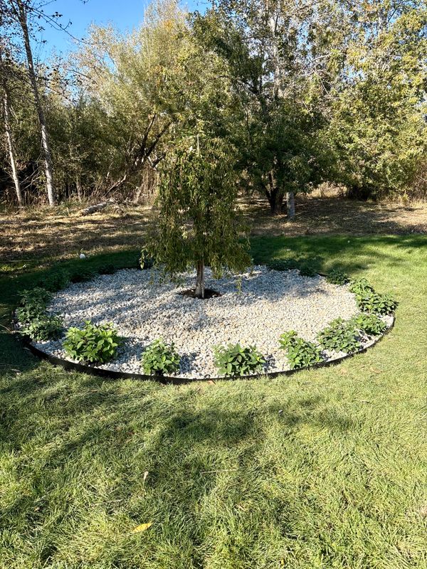 Landscape Design & Installation