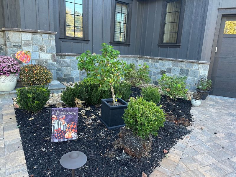 Landscape Design & Installation