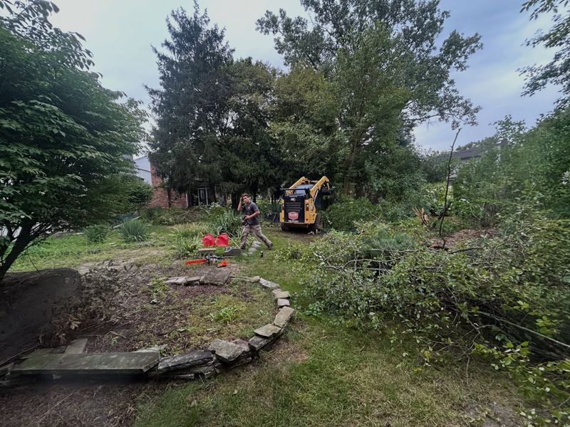 🌧️ Storm Cleanup Available

With the recent storms that came through the area, if your yard is covered in branches, debris, or fallen limbs, our crew is more than happy to help get everything cleaned up.

📞 Give Miller’s Property Service a call or message us to get on the schedule.

248-675-9111

#StormCleanup #YardCleanup #MillerPropertyService #SoutheastMichigan #LandscapeServices