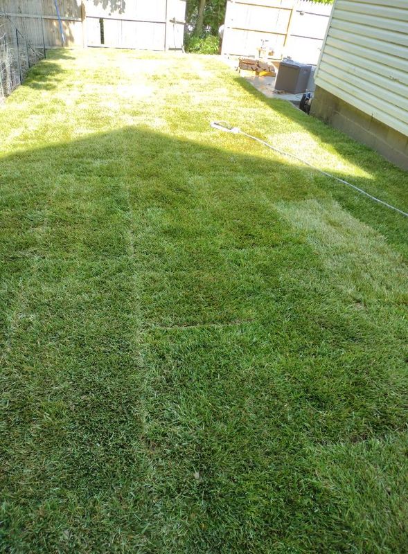 Mowing