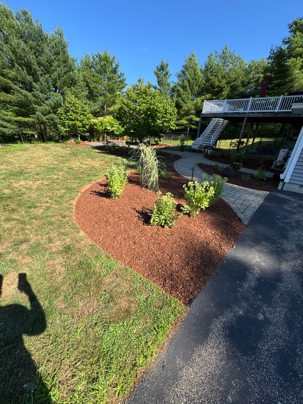 Garden Designs