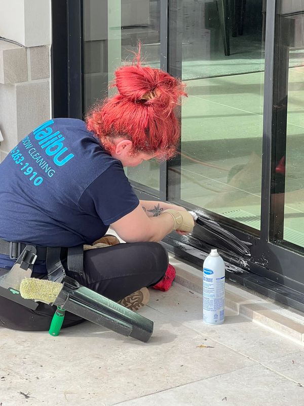 Window Cleaning