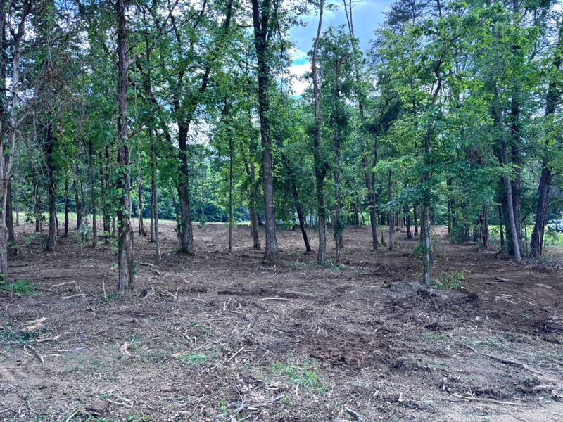 Environmental Excavation