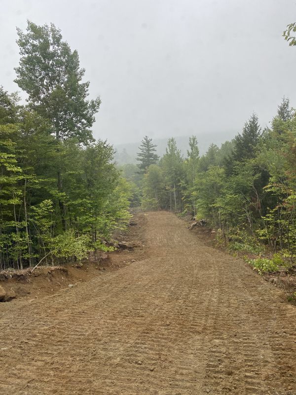 Land Clearing & Forestry Mulching