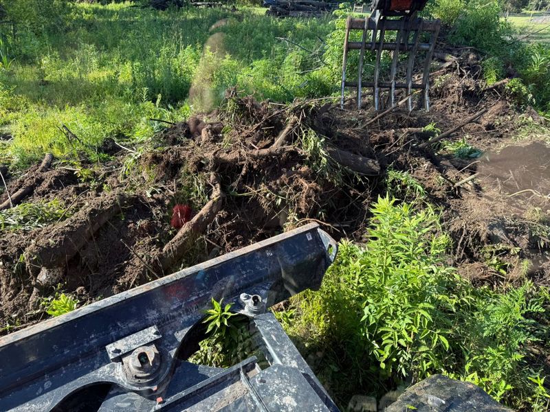 Land Clearing