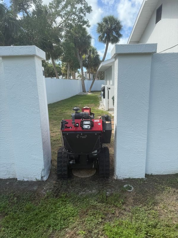 Stump Removal