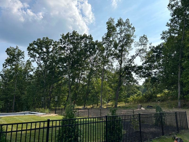 Tree Removal gallery